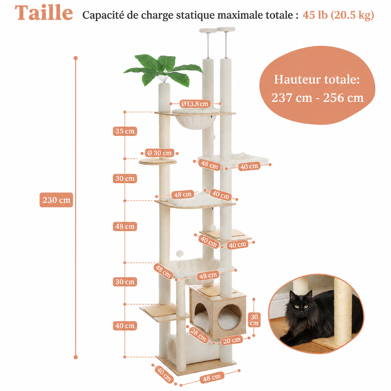 Arbre à chat Baobab blanc