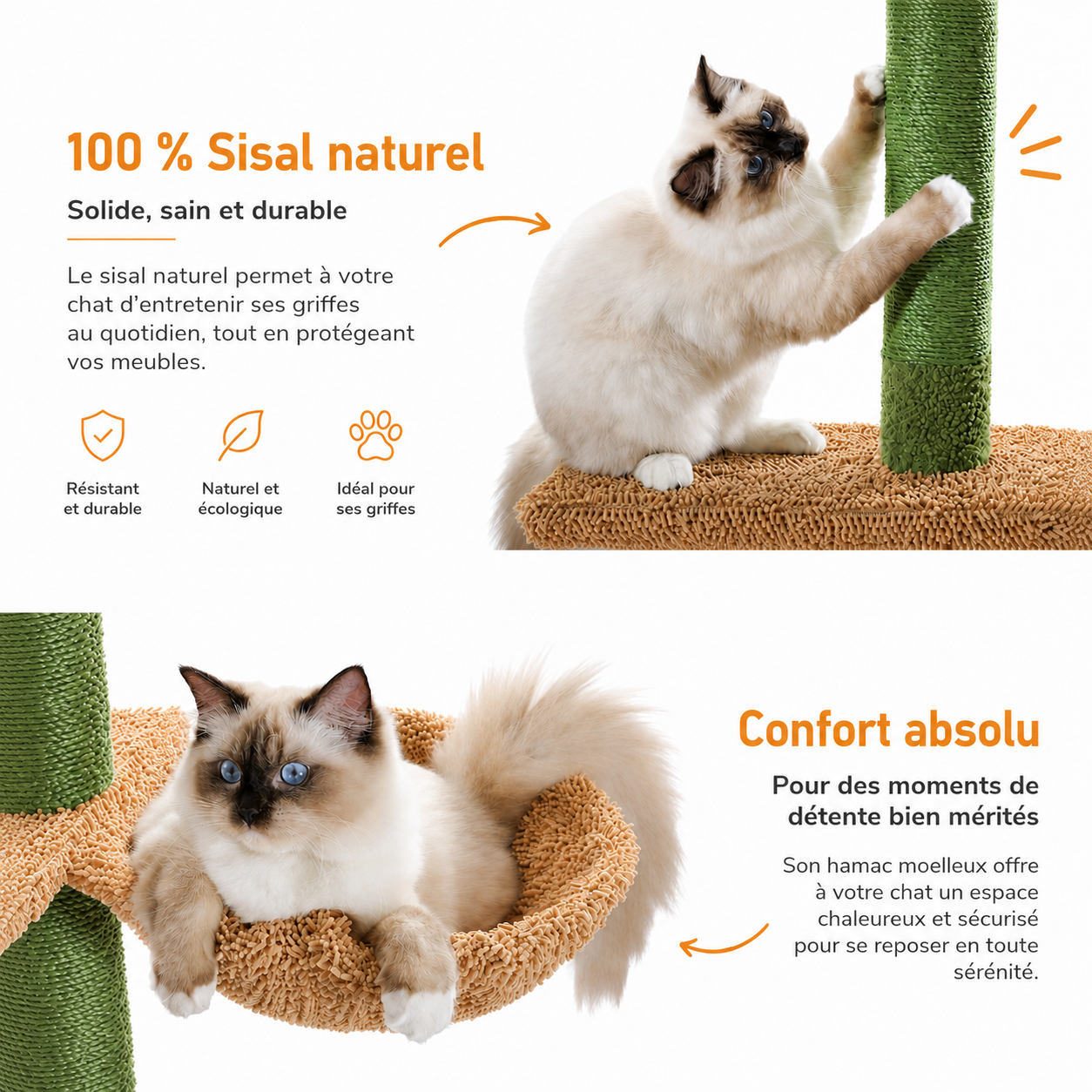 Arbre à chat Cactus - ambiance