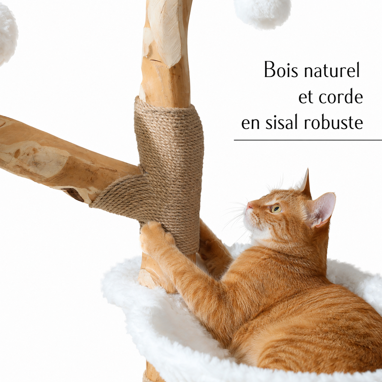 Arbre à chat Fleuri - ambiance