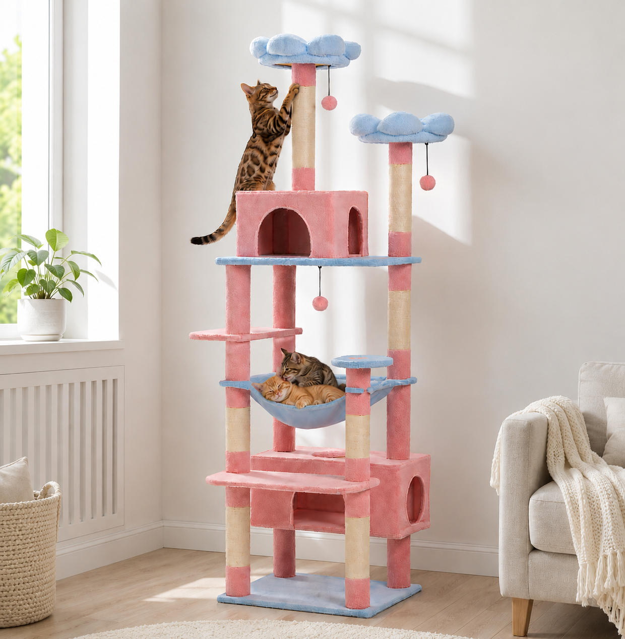 Arbre à chat Nuage - ambiance
